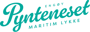 Logoen for Pynteneset.