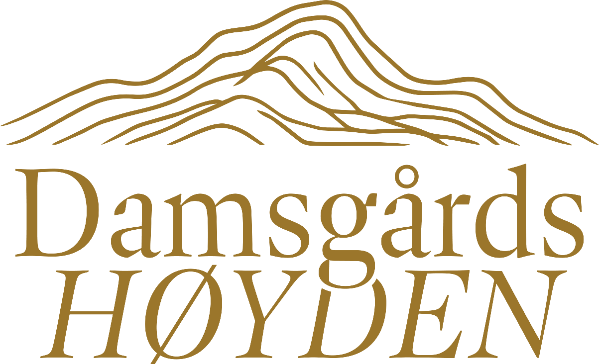 Logoen for Damsgårdshøyden.