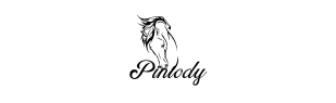 The logo for Pintody.